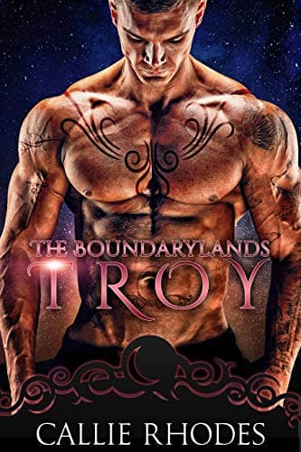 Cover of Troy by Callie Rhodes