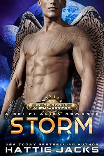 Cover of Storm by Hattie Jacks