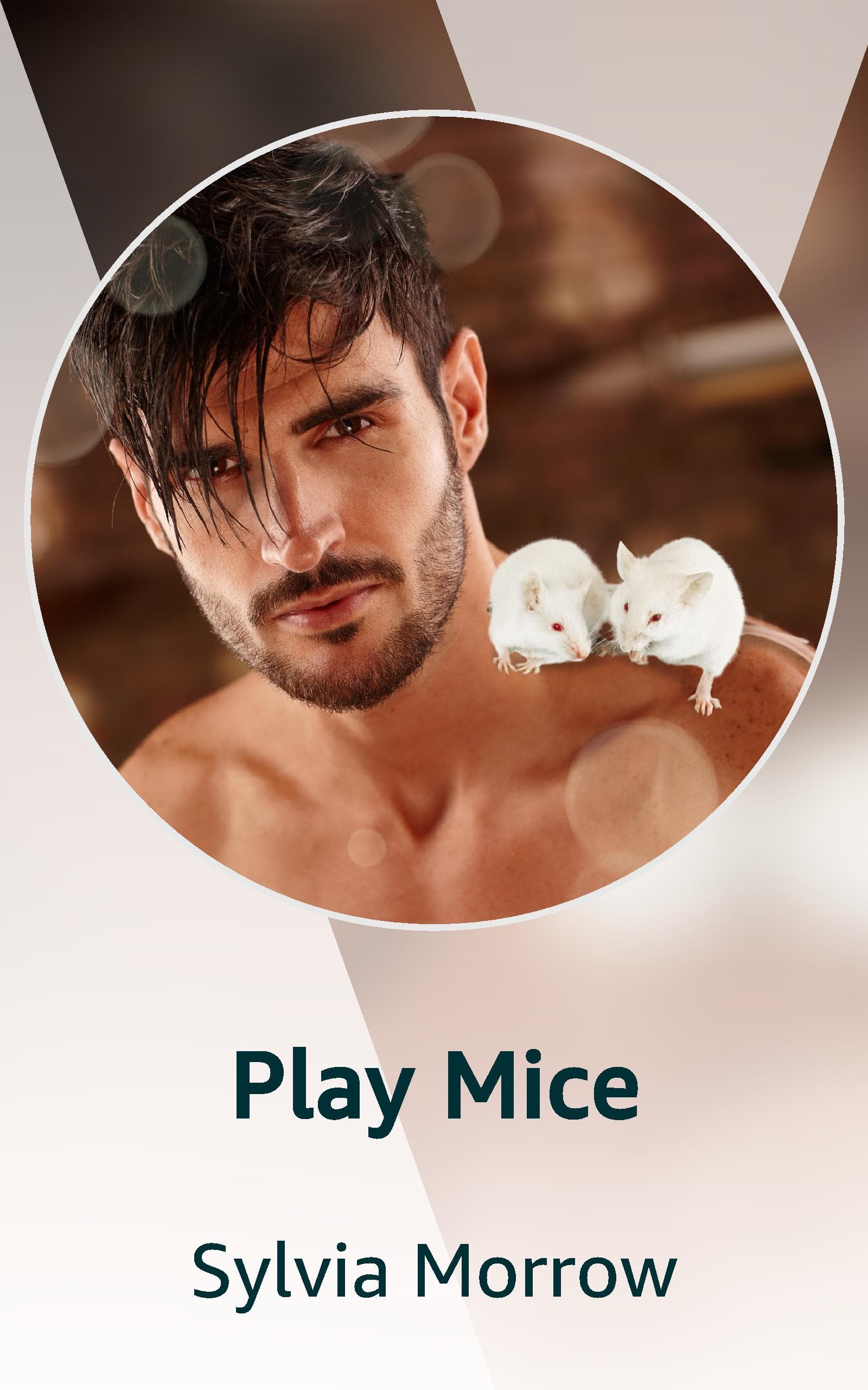 Cover of Play Mice by Sylvia Morrow