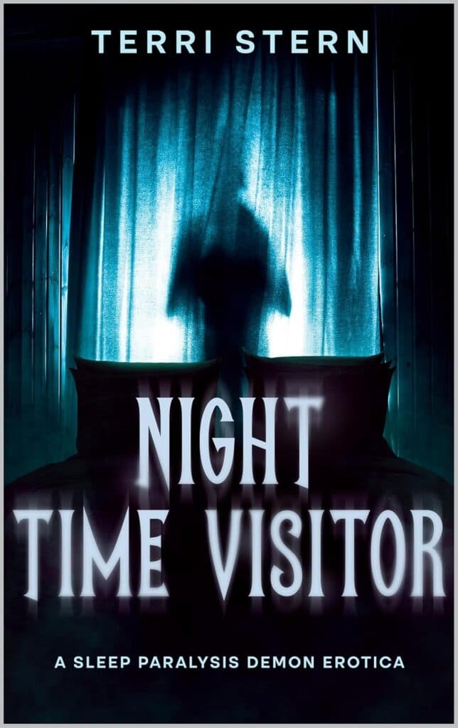Cover of Night Time Visitor by Terri Stern