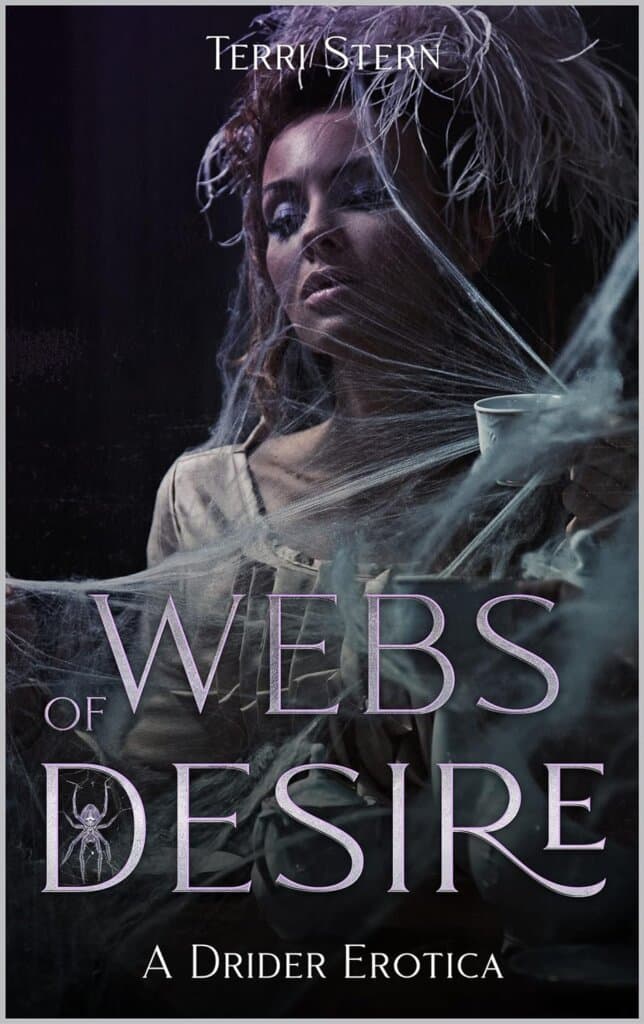 Cover of Webs of Desire by Terri Stern